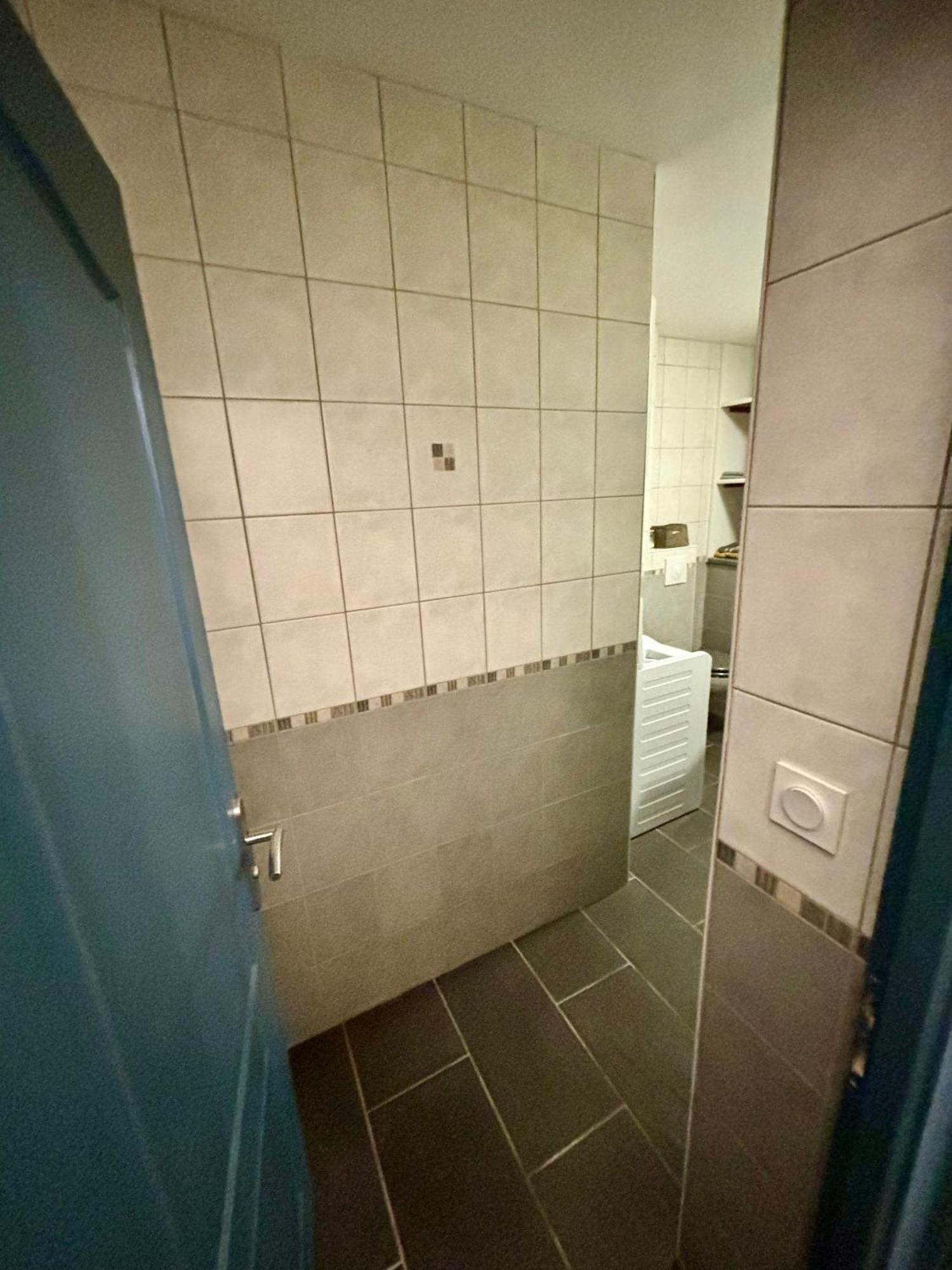 Studio - Baignoire - Pret De Vtt - Lave Linge Le Puy-en-Velay エクステリア 写真